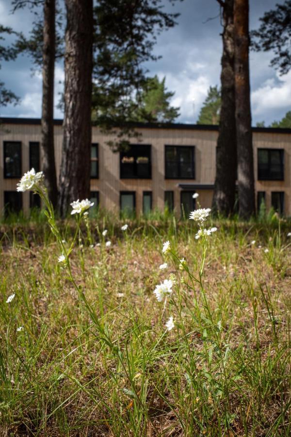 11 Pine View Apartment Kesterciems Bagian luar foto